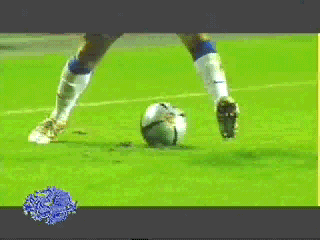 fhg